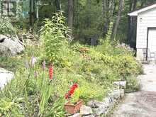 10 NEVISON DRIVE | Coboconk Ontario | Slide Image Thirty-two