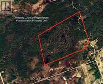 217 FORTY HILLS ROAD | Lion's Head Ontario | Slide Image Forty-three