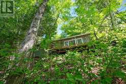 1236 POVERTY BAY TRAIL | Minden Hills Ontario | Slide Image Forty
