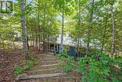 1236 POVERTY BAY TRAIL | Minden Hills Ontario | Slide Image Fifty