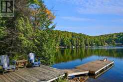 1010 KOCH TRAIL | Haliburton Ontario | Slide Image Three