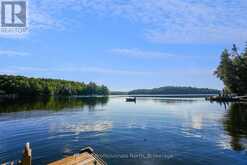 1010 KOCH TRAIL | Haliburton Ontario | Slide Image Four