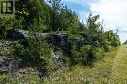 PT LT 2-3 CON 9, BRUCE RD 9 | Georgian Bluffs Ontario | Slide Image Twelve