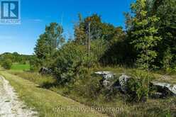 PT LT 2-3 CON 9, BRUCE RD 9 | Georgian Bluffs Ontario | Slide Image Thirteen