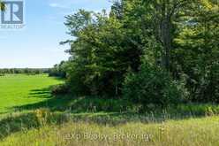PT LT 2-3 CON 9, BRUCE RD 9 | Georgian Bluffs Ontario | Slide Image Fourteen