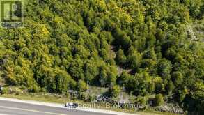 PT LT 2-3 CON 9, BRUCE RD 9 | Georgian Bluffs Ontario | Slide Image Four