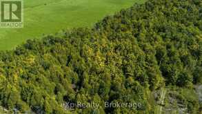 PT LT 2-3 CON 9, BRUCE RD 9 | Georgian Bluffs Ontario | Slide Image Five