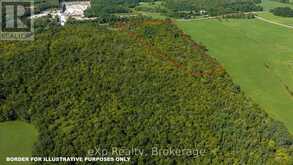 PT LT 2-3 CON 9, BRUCE RD 9 | Georgian Bluffs Ontario | Slide Image Six