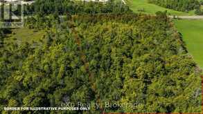 PT LT 2-3 CON 9, BRUCE RD 9 | Georgian Bluffs Ontario | Slide Image Nine