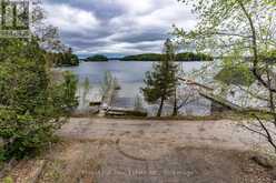 1255 SKELETON LAKE 2 ROAD | Carling Ontario | Slide Image Eighteen