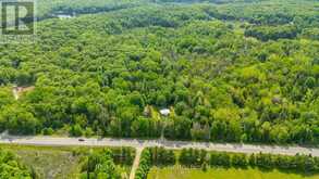 17900 HIGHWAY 118 | Highlands East Ontario | Slide Image Forty-six