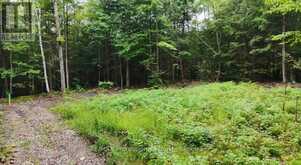 1211 HAWK VALLEY ROAD | Algonquin Highlands Ontario | Slide Image Ten