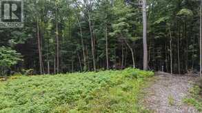 1211 HAWK VALLEY ROAD | Algonquin Highlands Ontario | Slide Image Six
