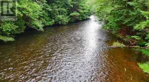 1211 HAWK VALLEY ROAD | Algonquin Highlands Ontario | Slide Image Nine
