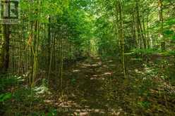 0 IRONDALE ROAD | Highlands East Ontario | Slide Image Ten