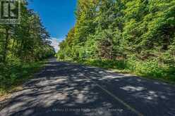 0 IRONDALE ROAD | Highlands East Ontario | Slide Image Fourteen