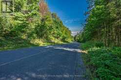 0 IRONDALE ROAD | Highlands East Ontario | Slide Image Fifteen