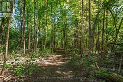 0 IRONDALE ROAD | Highlands East Ontario | Slide Image Eight