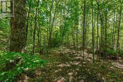 0 IRONDALE ROAD | Highlands East Ontario | Slide Image Nine