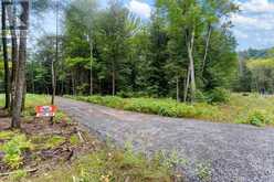1247 HAWK VALLEY ROAD | Algonquin Highlands Ontario | Slide Image Twelve
