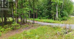 1247 HAWK VALLEY ROAD | Algonquin Highlands Ontario | Slide Image Six