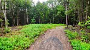 1247 HAWK VALLEY ROAD | Algonquin Highlands Ontario | Slide Image Seven