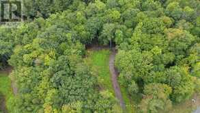 1247 HAWK VALLEY ROAD | Algonquin Highlands Ontario | Slide Image Nine