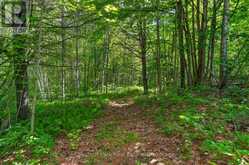 1304 11 HIGHWAY N | Gravenhurst Ontario | Slide Image Thirty-nine