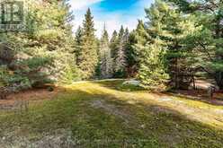 267 & 321 CARDWELL LAKE ROAD | Huntsville Ontario | Slide Image Fifteen