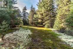 267 & 321 CARDWELL LAKE ROAD | Huntsville Ontario | Slide Image Sixteen
