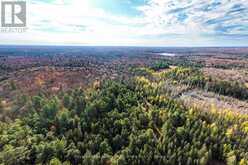 267 & 321 CARDWELL LAKE ROAD | Huntsville Ontario | Slide Image Three