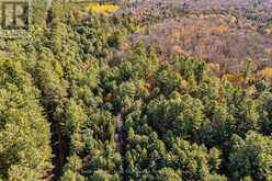 267 & 321 CARDWELL LAKE ROAD | Huntsville Ontario | Slide Image Five