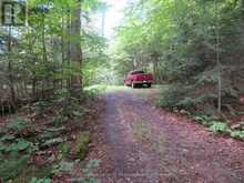1071 DOTTY LAKE ROAD | Dwight Ontario | Slide Image Eleven