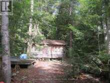 1071 DOTTY LAKE ROAD | Dwight Ontario | Slide Image Twenty