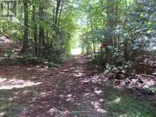 1071 DOTTY LAKE ROAD | Dwight Ontario | Slide Image Thirty-seven