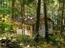 1071 DOTTY LAKE ROAD | Dwight Ontario | Slide Image Six