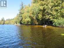 1071 DOTTY LAKE ROAD | Dwight Ontario | Slide Image Thirty-one