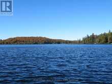 1071 DOTTY LAKE ROAD | Dwight Ontario | Slide Image Thirty