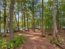1304 GRANDPA'S TRAIL | Minden Hills Ontario | Slide Image Eleven
