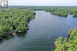 4390 MARR LANE | Muskoka Lakes Ontario | Slide Image Four