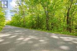 1020 RIDGE ROAD | Muskoka Lakes Ontario | Slide Image Thirteen