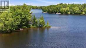 0 ISLAND | McKellar Ontario | Slide Image Fifteen