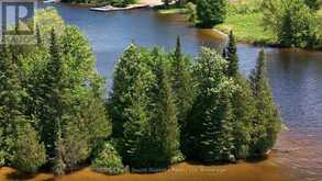 0 ISLAND | McKellar Ontario | Slide Image Seventeen