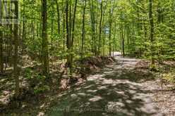 622829 MOTO PARK ROAD | Chatsworth Ontario | Slide Image Forty-five