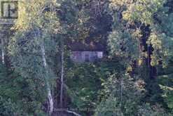 4339 MUSKOKA ROAD 117 ROAD | Baysville Ontario | Slide Image Seventeen