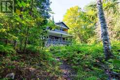 4339 MUSKOKA ROAD 117 ROAD | Baysville Ontario | Slide Image Nine