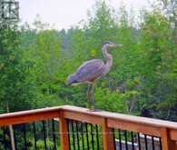 21 TRIMBLE CRESCENT | Guelph Ontario | Slide Image Forty
