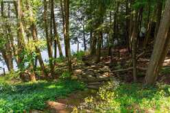 7 - 4916 MUSKOKA RD 169 ROAD | MacTier Ontario | Slide Image Thirty-three