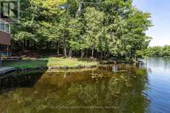 2115 LAKE MUSKOKA | Muskoka Lakes Ontario | Slide Image Thirteen