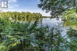 2115 LAKE MUSKOKA | Muskoka Lakes Ontario | Slide Image Twenty-two